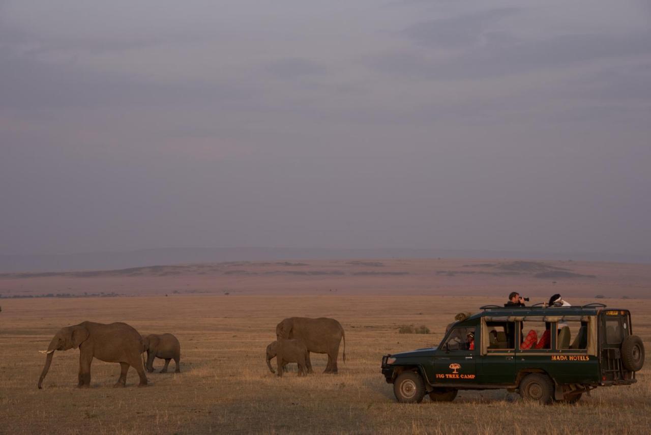 Hotel Fig Tree Camp - Maasai Mara Talek Esterno foto