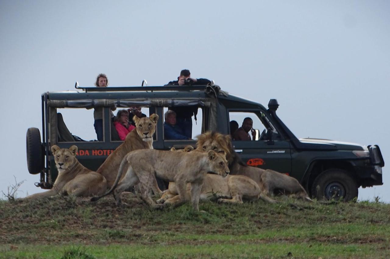 Hotel Fig Tree Camp - Maasai Mara Talek Esterno foto