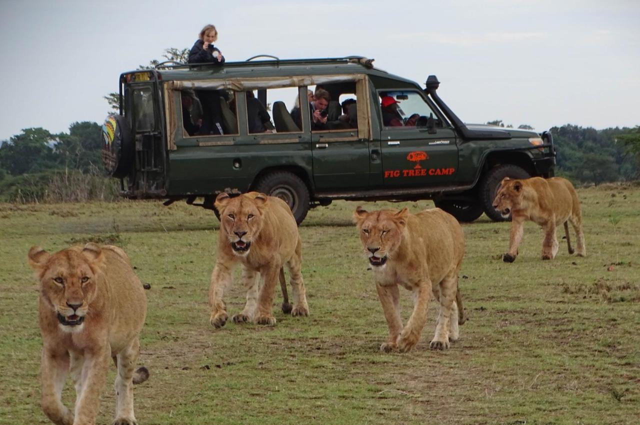 Hotel Fig Tree Camp - Maasai Mara Talek Esterno foto